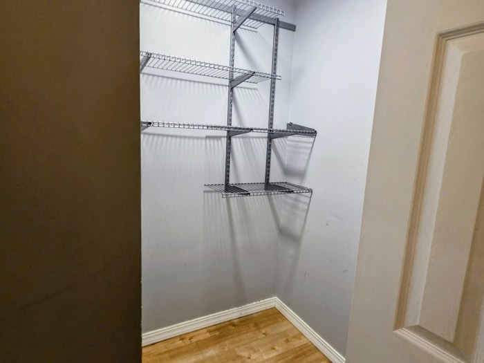 Walk-in closet with shelving